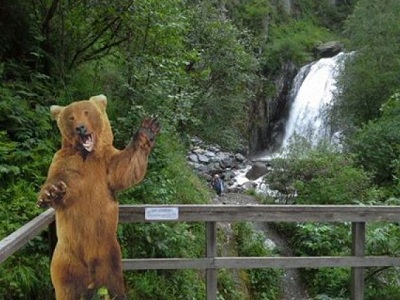 Селфи с медведем на фоне водопада